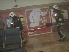 VIDEOS FLV PREVENCION SIMULACRO PALMA